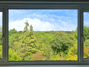 Views- click for photo gallery